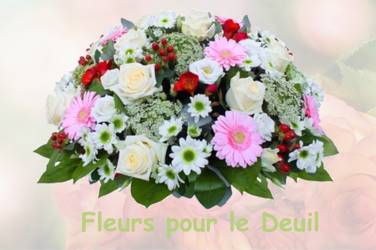 fleurs deuil SAVY-BERLETTE